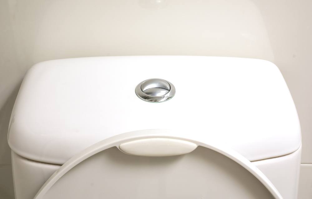 Should You Invest in Water Saving Toilets for Your Home? HomeSelfe